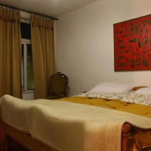 https://guesthouse-pension-andrea.hotels-in-tirana.com